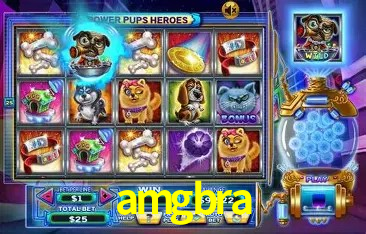 Integração de APIs amgbra